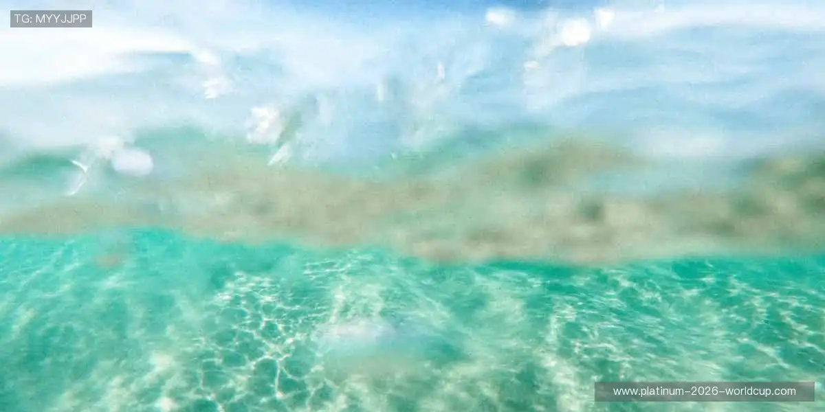 周边好物，把热爱穿在身上👕💥